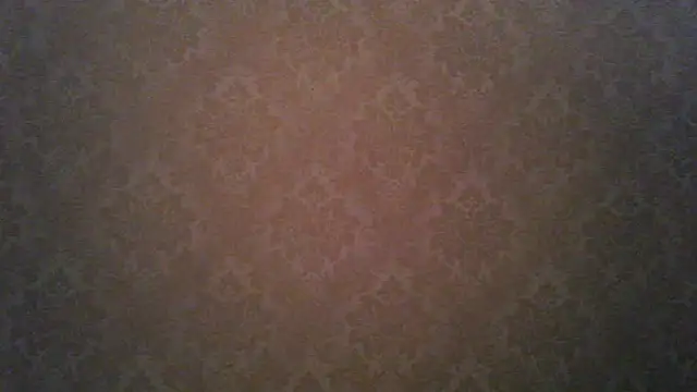 Snapshot of Kashtanka_ chatting on November 21, 2025, 4:55 am Kashtanka online show from November 21, 2025, 4:55 am