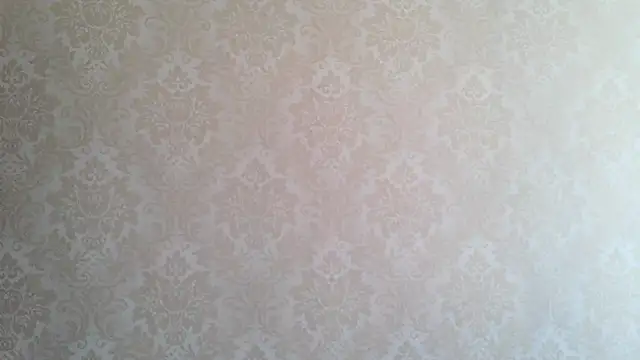 Snapshot of Kashtanka_ chatting on October 1, 2025, 8:08 am Kashtanka online show from October 1, 2025, 8:08 am