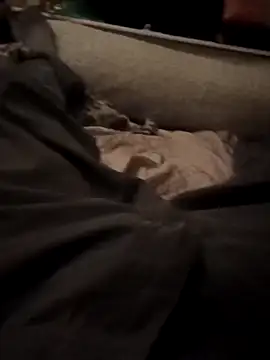 armdy371 online show from November 15, 2025, 10:14 pm