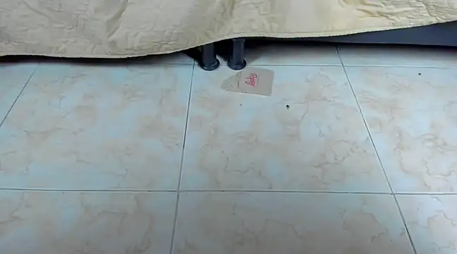 Snapshot of Chloe_lauren chatting on January 19, 2025, 1:32 am Chloe lauren online show from January 19, 2025, 1:32 am