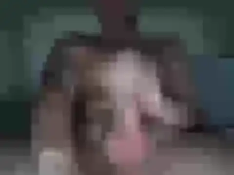 Snapshot of sexyboy96960 chatting on February 7, 2026, 3:53 pm sexyboy96960 online show from February 7, 2026, 3:53 pm