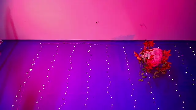 Snapshot of vanelope11 chatting on December 21, 2025, 8:05 am vanelope11 online show from December 21, 2025, 8:05 am