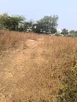 Snapshot of Abinash7732 chatting on January 14, 2025, 3:53 am Abinash7732 online show from January 14, 2025, 3:53 am