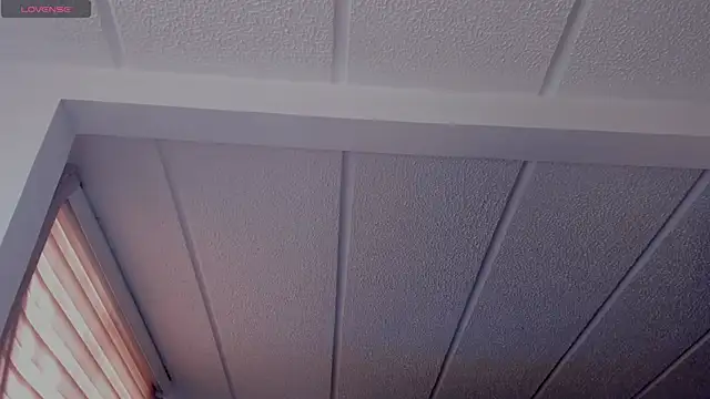 Snapshot of Charlotte_greys chatting on September 23, 2025, 8:27 pm Charlotte greys online show from September 23, 2025, 8:27 pm