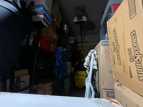 wynterheat online show from November 12, 2025, 7:23 am