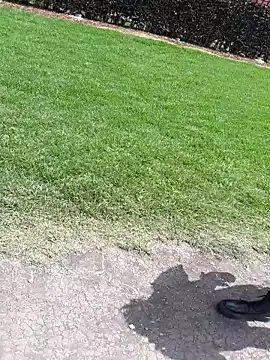 Snapshot of sophie_banger chatting on November 4, 2025, 4:11 pm sophie banger online show from November 4, 2025, 4:11 pm