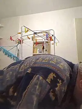 Bretoncool online show from November 15, 2025, 1:26 pm