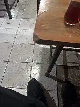 homidor online show from December 11, 2024, 7:36 pm