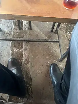 homidor online show from March 16, 2025, 1:49 pm