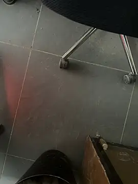 homidor online show from February 5, 2025, 1:54 pm