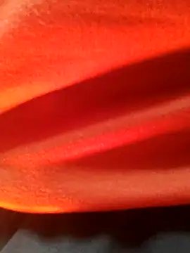 Wild-Honey online show from January 16, 2025, 3:24 pm