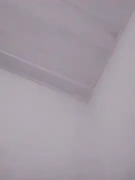 Srah0 online show from April 15, 2026, 12:21 pm