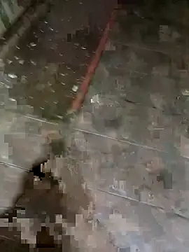 picadura1988 online show from September 14, 2025, 3:29 am