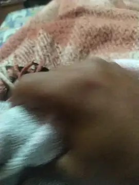 Snapshot of Jhjhipo chatting on November 21, 2025, 11:04 pm Jhjhipo online show from November 21, 2025, 11:04 pm