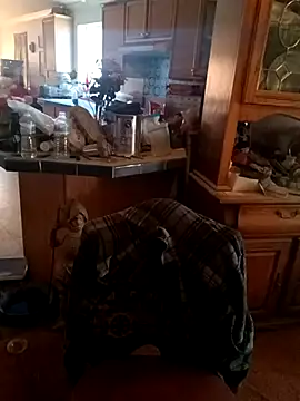 wilsons12 online show from November 28, 2025, 8:09 pm