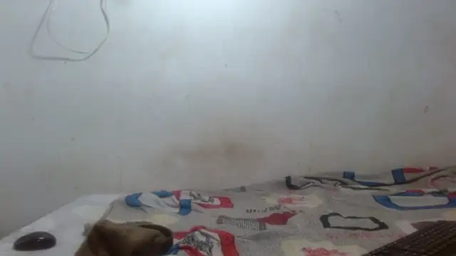 Snapshot of damian_bottom_bigcock chatting on February 16, 2026, 8:40 pm damian bottom bigcock online show from February 16, 2026, 8:40 pm