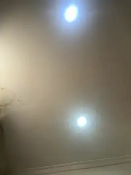 pawmistry online show from July 8, 2026, 7:36 pm
