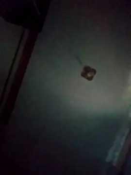 BriannaVincent online show from March 20, 2026, 4:35 am