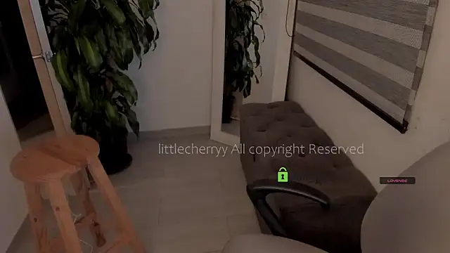 Snapshot of _littlecherryy_ chatting on May 21, 2026, 3:48 am littlecherryy online show from May 21, 2026, 3:48 am