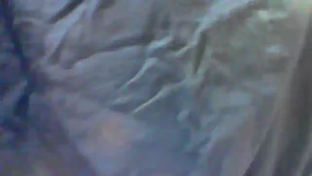 collage hoty online show from September 24, 2025, 5:30 pm