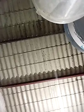 Snapshot of strip_1212 chatting on March 8, 2026, 2:04 am strip 1212 online show from March 8, 2026, 2:04 am