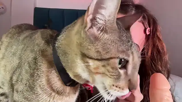 alice guerin  online show from February 20, 2026, 6:19 am