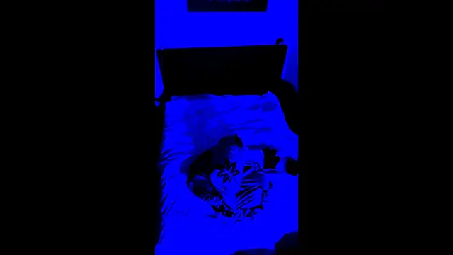 LuggiJack online show from February 28, 2026, 7:02 pm