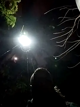 dick 01728 online show from February 9, 2025, 2:18 pm