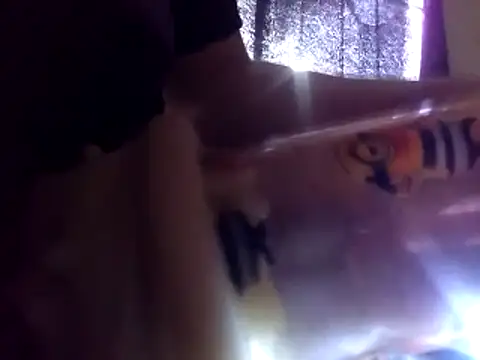 6MataGarcia online show from January 4, 2025, 10:34 pm