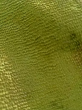 Snapshot of sadunt chatting on December 17, 2025, 9:36 am sadunt online show from December 17, 2025, 9:36 am