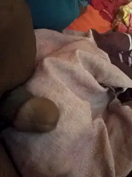 Snapshot of sadunt chatting on March 14, 2026, 6:52 am sadunt online show from March 14, 2026, 6:52 am