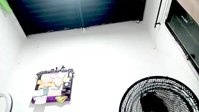 PetiteIvoryQueen19 online show from October 28, 2025, 3:07 am