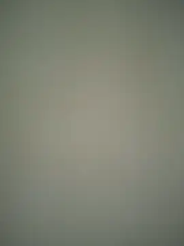 Snapshot of ScarletVelvetX chatting on February 22, 2026, 3:09 am ScarletVelvetX online show from February 22, 2026, 3:09 am