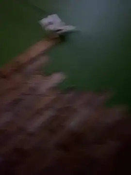 Snapshot of Hjsjsjsjjd chatting on September 13, 2025, 11:21 am Hjsjsjsjjd online show from September 13, 2025, 11:21 am