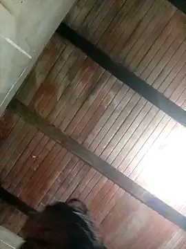 kendalbrowns online show from September 29, 2025, 10:00 am