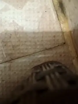 Snapshot of pintuS40 chatting on October 9, 2025, 1:39 am pintuS40 online show from October 9, 2025, 1:39 am