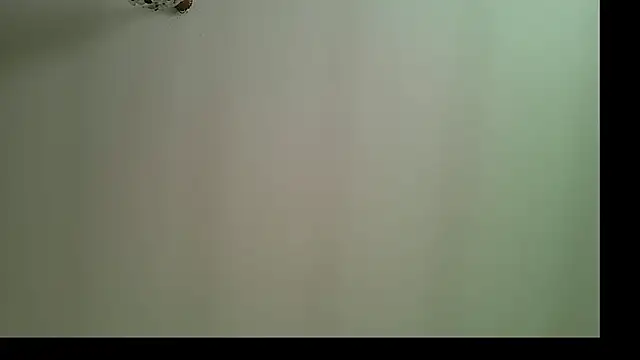 Snapshot of panigalenew chatting on October 25, 2025, 12:28 pm panigalenew online show from October 25, 2025, 12:28 pm