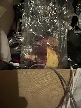 panigalenew online show from March 30, 2026, 3:19 am