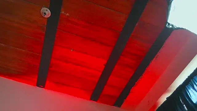 Leonnardo Jaramillo online show from February 25, 2025, 1:10 pm