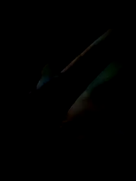 Inkognito0495 online show from May 30, 2026, 3:13 am