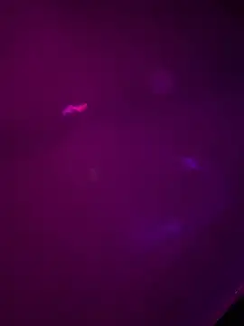 Alahia7demon online show from March 22, 2026, 10:17 am