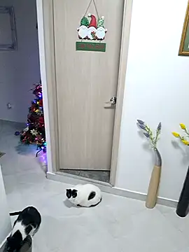 Snapshot of Mia_Ruiz chatting on November 30, 2025, 3:07 am Mia Ruiz online show from November 30, 2025, 3:07 am