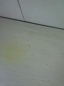 Nyx nayla online show from November 1, 2025, 8:19 am