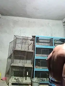 Snapshot of NICK_IN chatting on February 1, 2025, 3:28 pm NICK IN online show from February 1, 2025, 3:28 pm