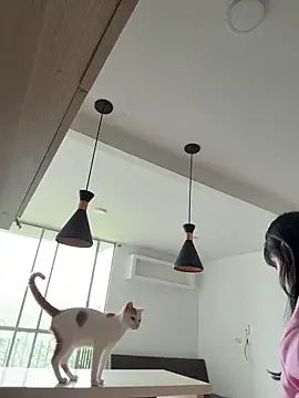 AHRI LEE online show from November 20, 2025, 2:51 pm