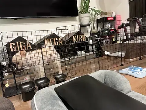 Snapshot of kensnb chatting on November 2, 2025, 8:03 pm kensnb online show from November 2, 2025, 8:03 pm