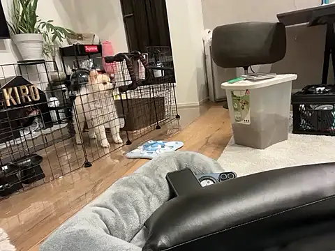 Snapshot of kensnb chatting on November 1, 2025, 9:14 am kensnb online show from November 1, 2025, 9:14 am