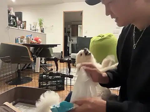 Snapshot of kensnb chatting on November 4, 2025, 8:51 am kensnb online show from November 4, 2025, 8:51 am