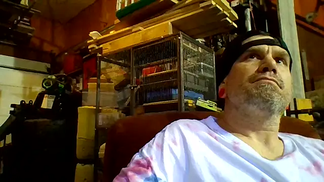 Snapshot of clitstitsandbongrips chatting on March 12, 2025, 11:21 am clitstitsandbongrips online show from March 12, 2025, 11:21 am