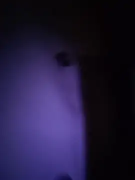 Snapshot of Dani_pegin chatting on December 2, 2025, 1:02 pm Dani pegin online show from December 2, 2025, 1:02 pm